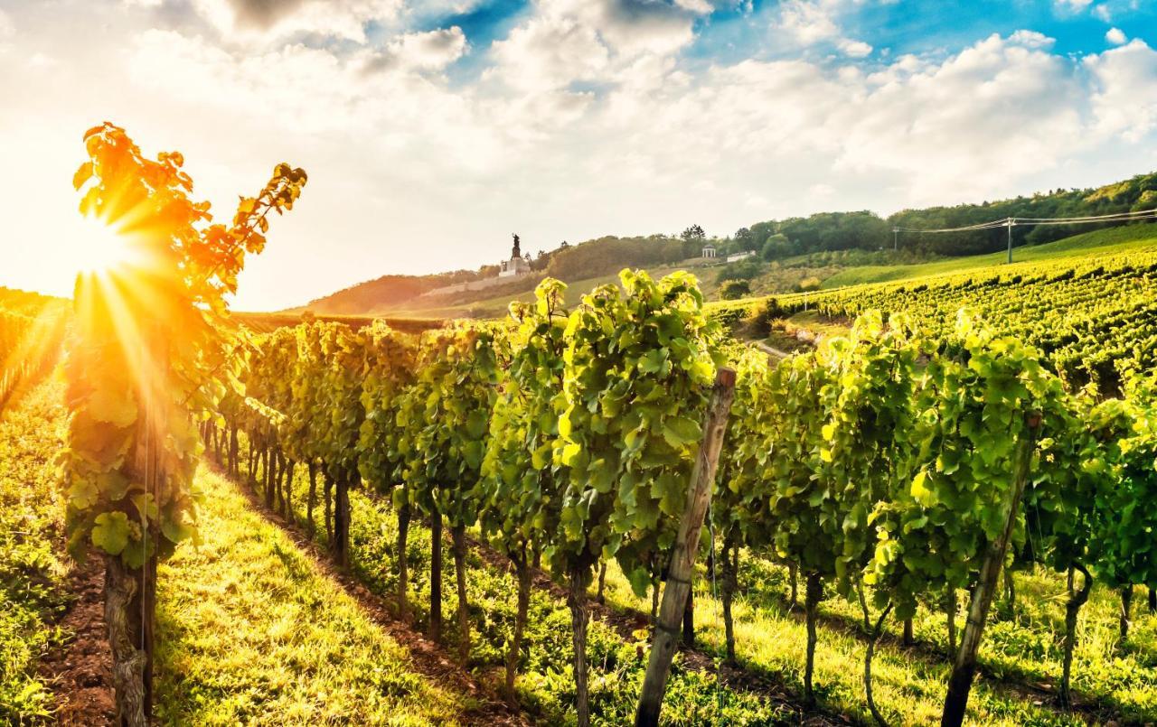 Fewo Zum Malerwinkel - Ruedesheim リューデスハイム・アム・ライン エクステリア 写真