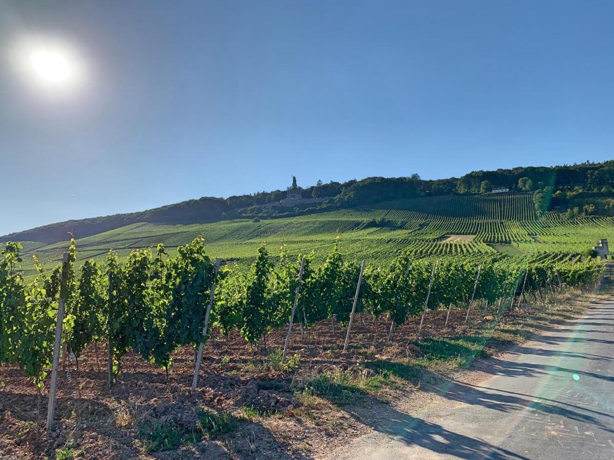 Fewo Zum Malerwinkel - Ruedesheim リューデスハイム・アム・ライン エクステリア 写真